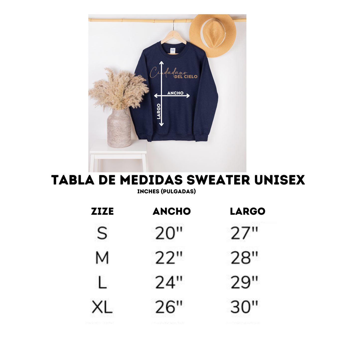 Ciudadano del Cielo. Sweater Unisex