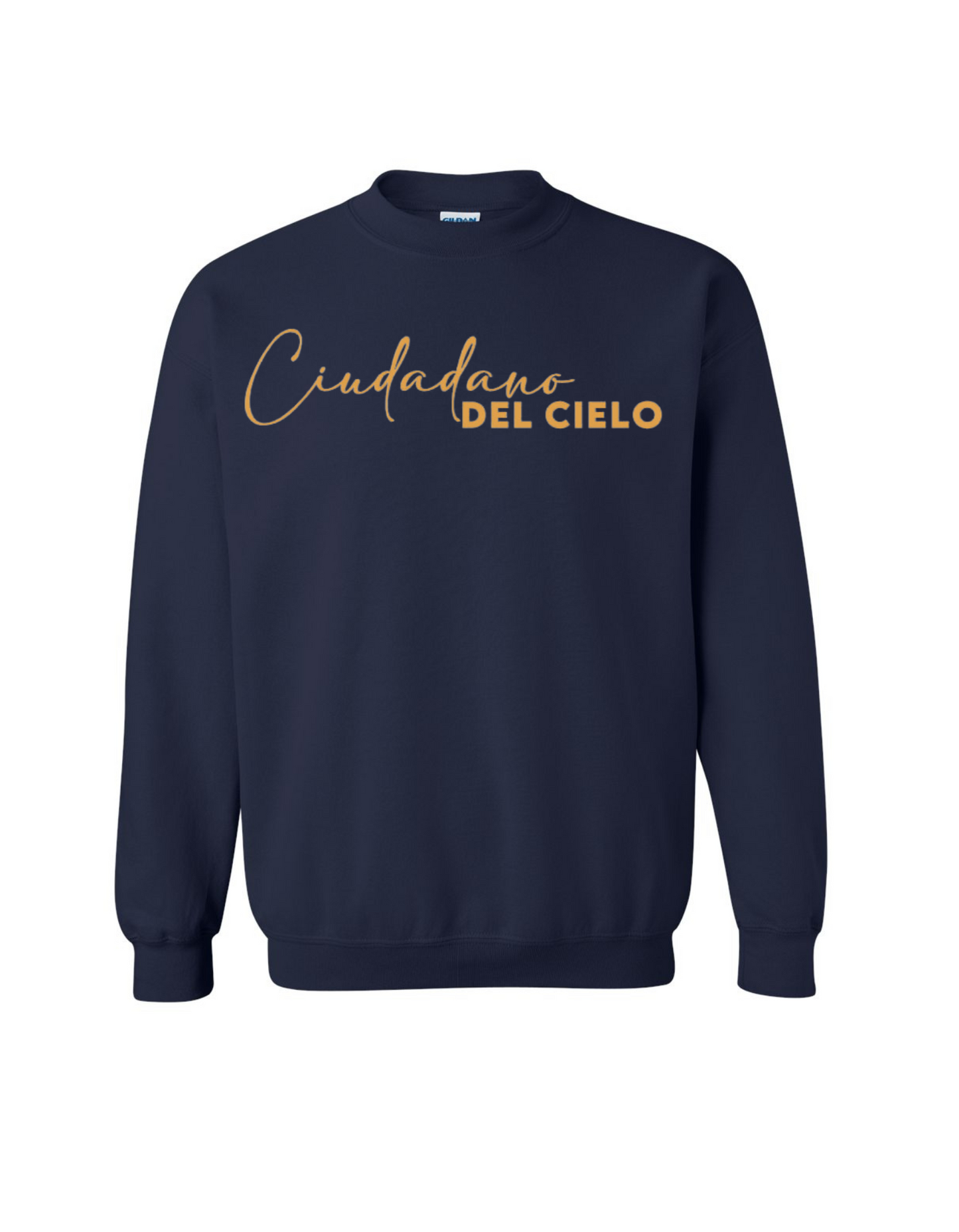 Ciudadano del Cielo. Sweater Unisex